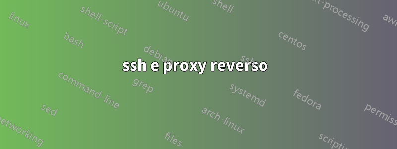 ssh e proxy reverso 