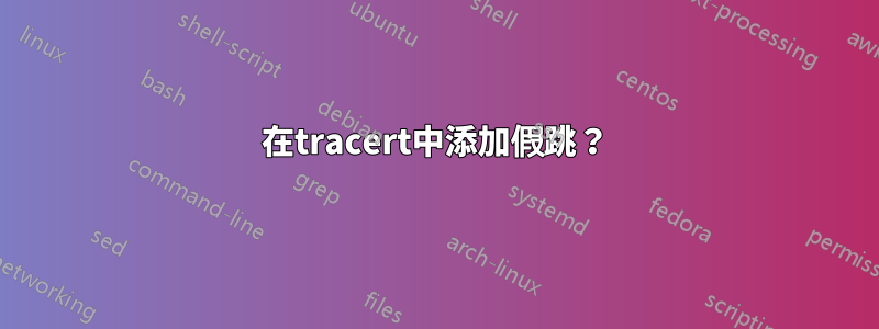 在tracert中添加假跳？