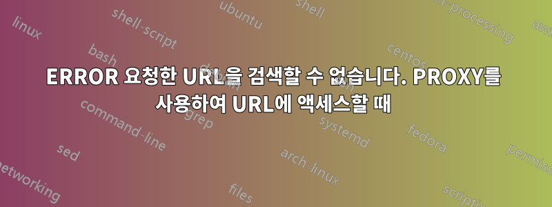 ERROR 요청한 URL을 검색할 수 없습니다. PROXY를 사용하여 URL에 액세스할 때