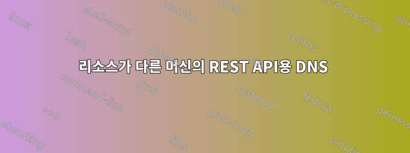 리소스가 다른 머신의 REST API용 DNS