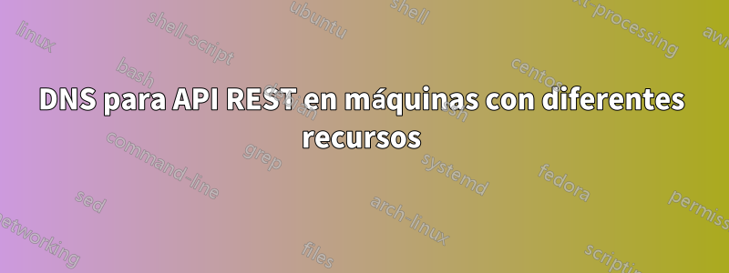 DNS para API REST en máquinas con diferentes recursos