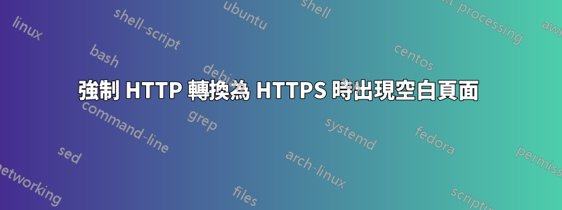 強制 HTTP 轉換為 HTTPS 時出現空白頁面