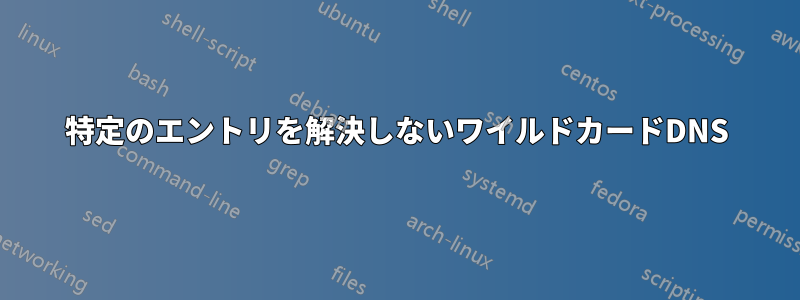 特定のエントリを解決しないワイルドカードDNS