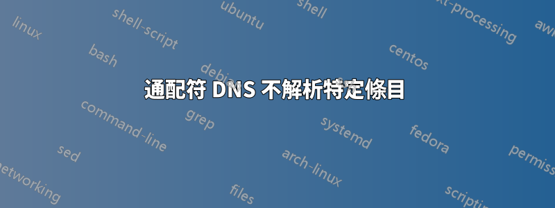 通配符 DNS 不解析特定條目