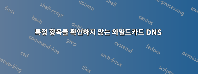 특정 항목을 확인하지 않는 와일드카드 DNS