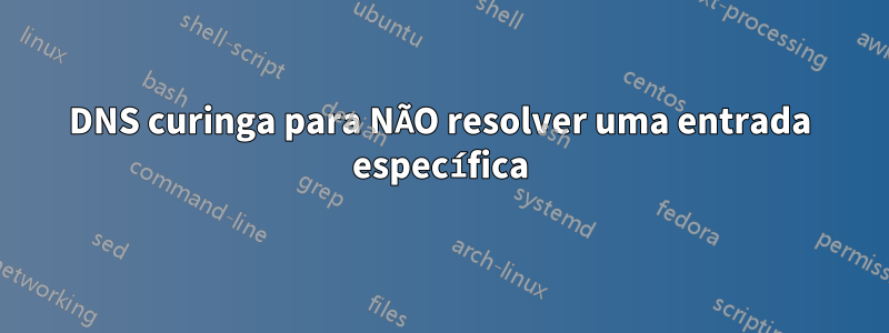 DNS curinga para NÃO resolver uma entrada específica