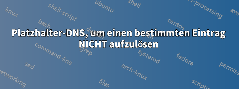 Platzhalter-DNS, um einen bestimmten Eintrag NICHT aufzulösen