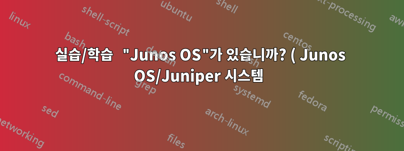 실습/학습 "Junos OS"가 있습니까? ( Junos OS/Juniper 시스템 )