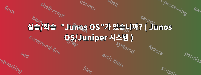 실습/학습 "Junos OS"가 있습니까? ( Junos OS/Juniper 시스템 ) 