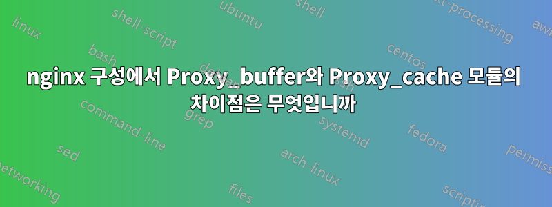 nginx 구성에서 Proxy_buffer와 Proxy_cache 모듈의 차이점은 무엇입니까