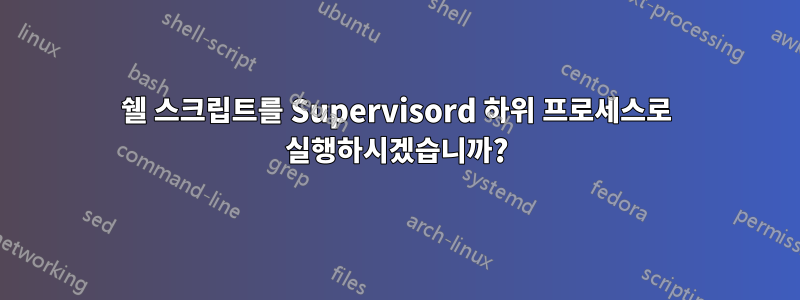 쉘 스크립트를 Supervisord 하위 프로세스로 실행하시겠습니까?