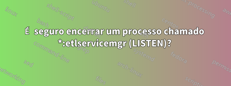 É seguro encerrar um processo chamado *:etlservicemgr (LISTEN)?