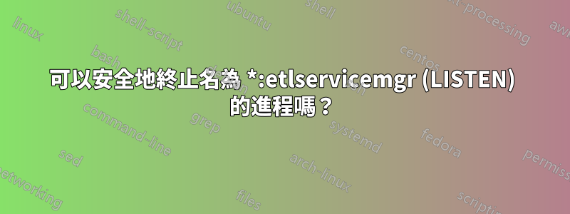 可以安全地終止名為 *:etlservicemgr (LISTEN) 的進程嗎？