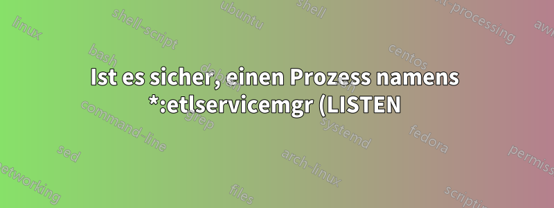 Ist es sicher, einen Prozess namens *:etlservicemgr (LISTEN) zu beenden?