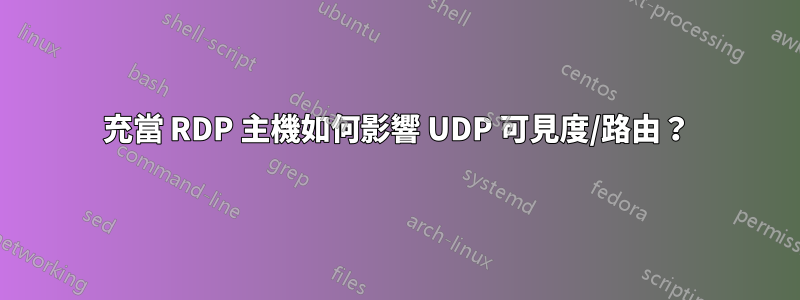 充當 RDP 主機如何影響 UDP 可見度/路由？