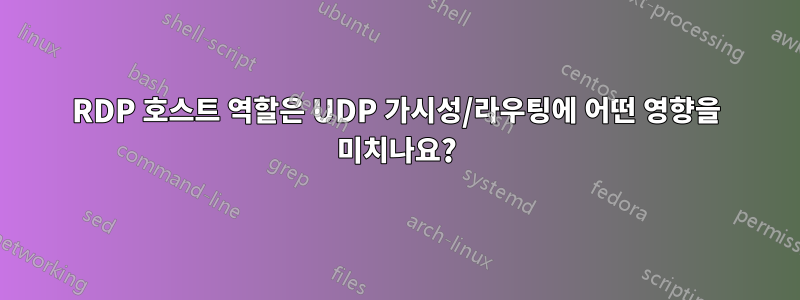 RDP 호스트 역할은 UDP 가시성/라우팅에 어떤 영향을 미치나요?