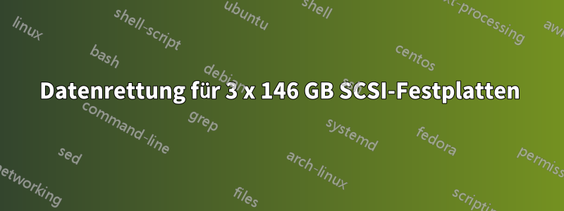 Datenrettung für 3 x 146 GB SCSI-Festplatten