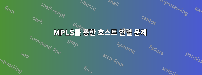 MPLS를 통한 호스트 연결 문제