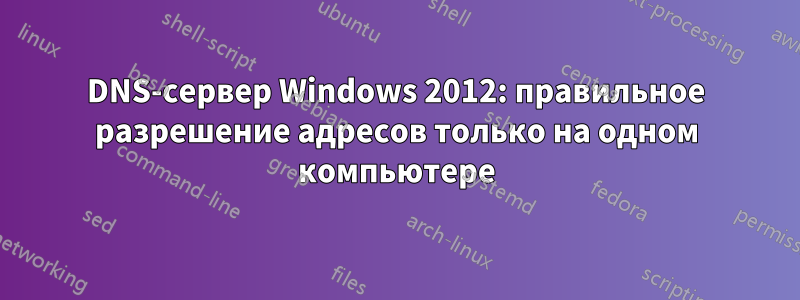 DNS-сервер Windows 2012: правильное разрешение адресов только на одном компьютере