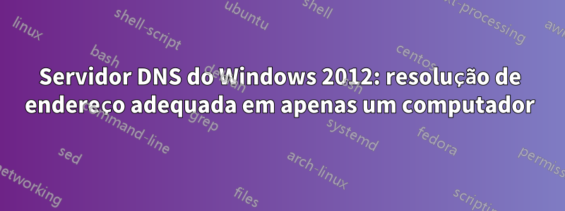 Servidor DNS do Windows 2012: resolução de endereço adequada em apenas um computador