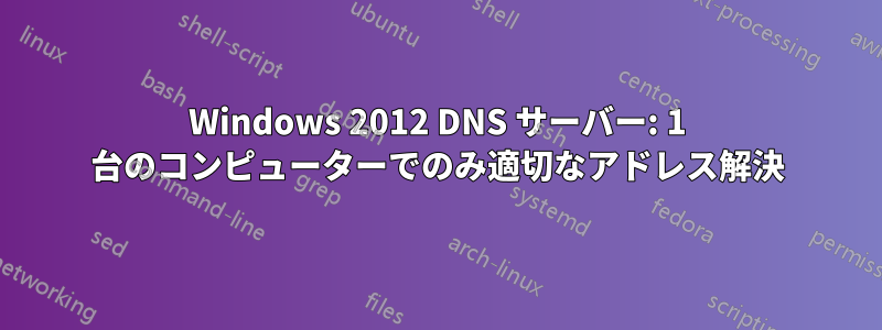 Windows 2012 DNS サーバー: 1 台のコンピューターでのみ適切なアドレス解決