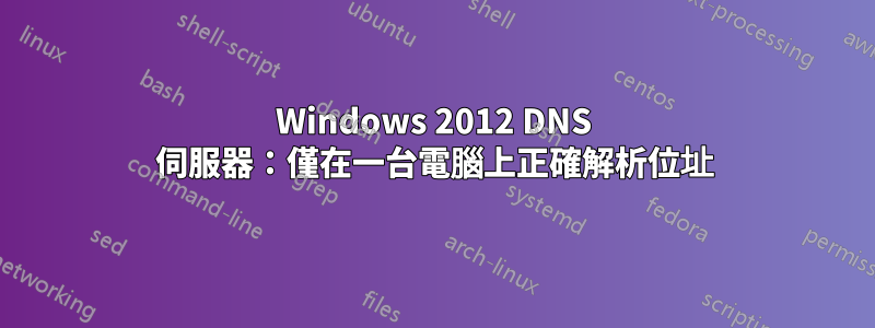 Windows 2012 DNS 伺服器：僅在一台電腦上正確解析位址