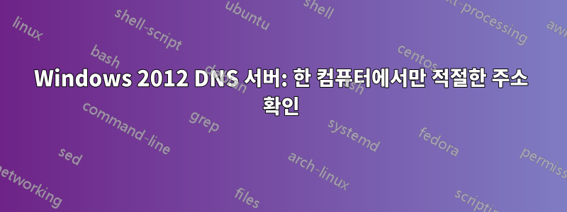 Windows 2012 DNS 서버: 한 컴퓨터에서만 적절한 주소 확인