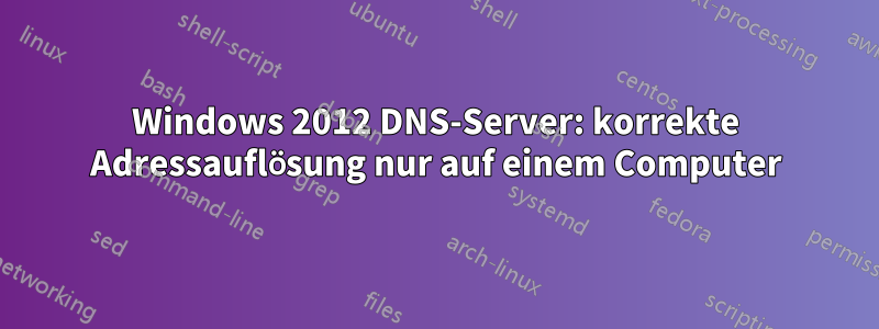 Windows 2012 DNS-Server: korrekte Adressauflösung nur auf einem Computer