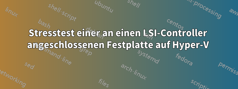 Stresstest einer an einen LSI-Controller angeschlossenen Festplatte auf Hyper-V