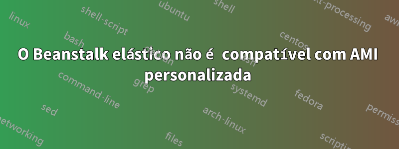 O Beanstalk elástico não é compatível com AMI personalizada