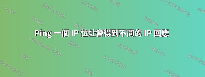 Ping 一個 IP 位址會得到不同的 IP 回應