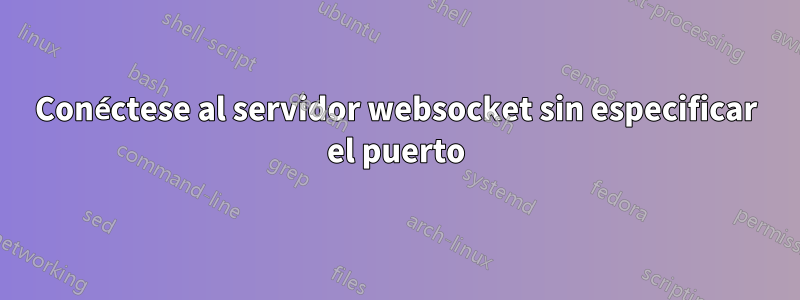 Conéctese al servidor websocket sin especificar el puerto