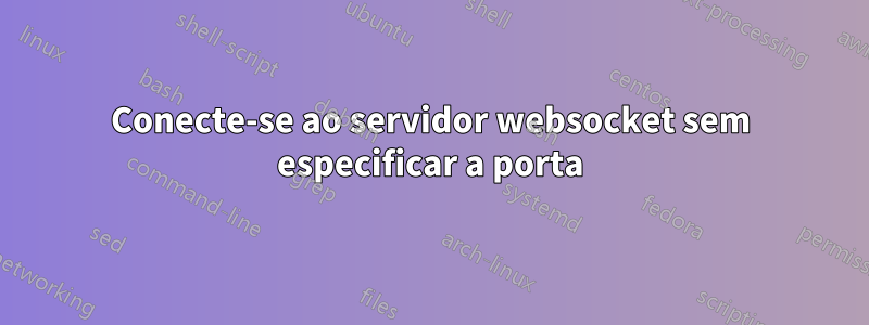 Conecte-se ao servidor websocket sem especificar a porta