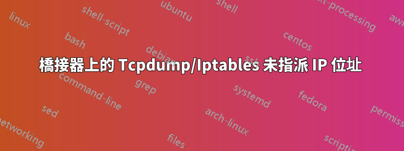 橋接器上的 Tcpdump/Iptables 未指派 IP 位址