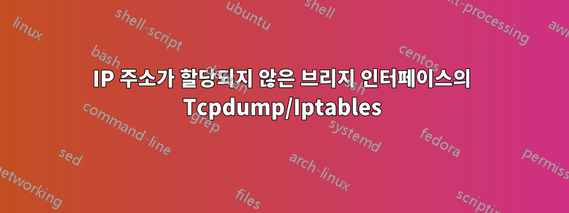 IP 주소가 할당되지 않은 브리지 인터페이스의 Tcpdump/Iptables