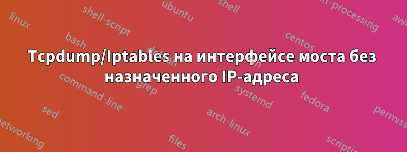 Tcpdump/Iptables на интерфейсе моста без назначенного IP-адреса