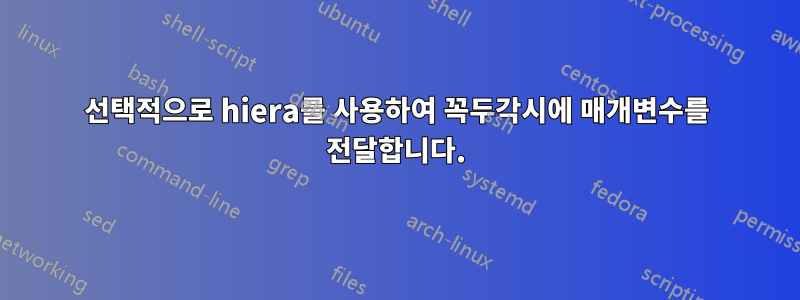 선택적으로 hiera를 사용하여 꼭두각시에 매개변수를 전달합니다.