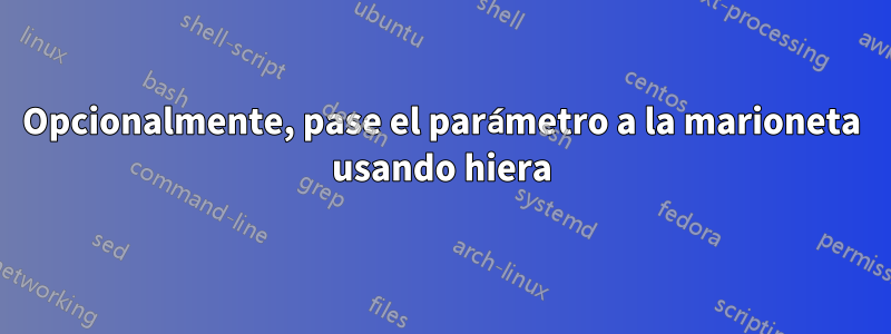 Opcionalmente, pase el parámetro a la marioneta usando hiera