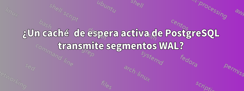 ¿Un caché de espera activa de PostgreSQL transmite segmentos WAL?