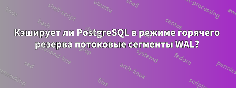 Кэширует ли PostgreSQL в режиме горячего резерва потоковые сегменты WAL?