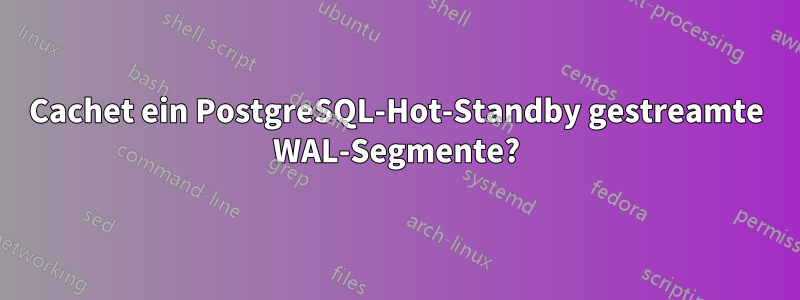 Cachet ein PostgreSQL-Hot-Standby gestreamte WAL-Segmente?