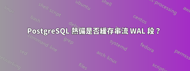 PostgreSQL 熱備是否緩存串流 WAL 段？