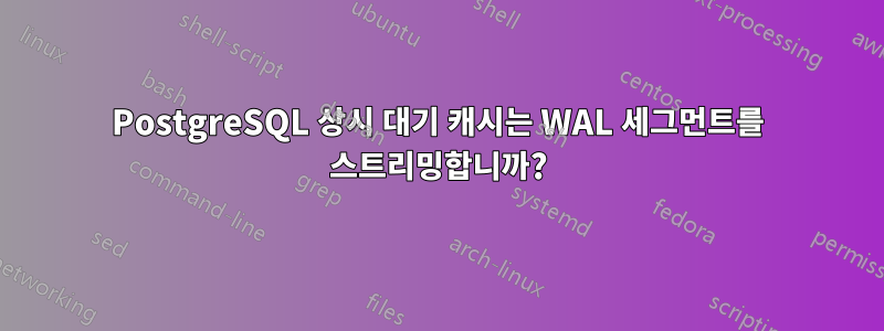 PostgreSQL 상시 대기 캐시는 WAL 세그먼트를 스트리밍합니까?