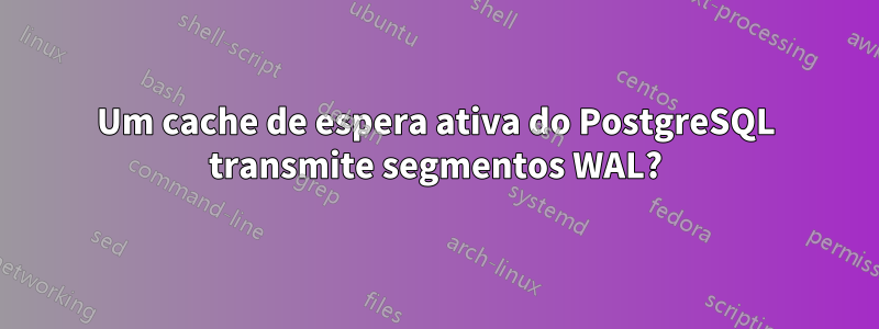 Um cache de espera ativa do PostgreSQL transmite segmentos WAL?