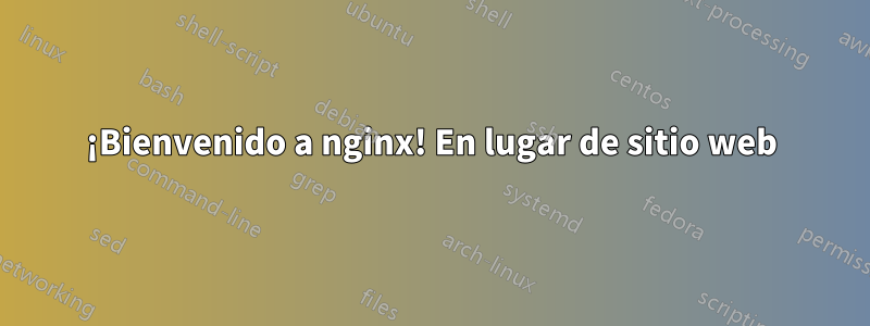 ¡Bienvenido a nginx! En lugar de sitio web