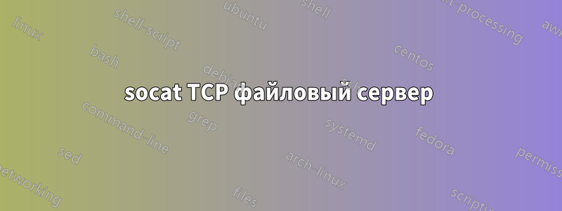 socat TCP файловый сервер