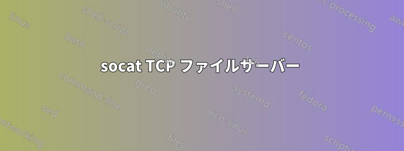 socat TCP ファイルサーバー