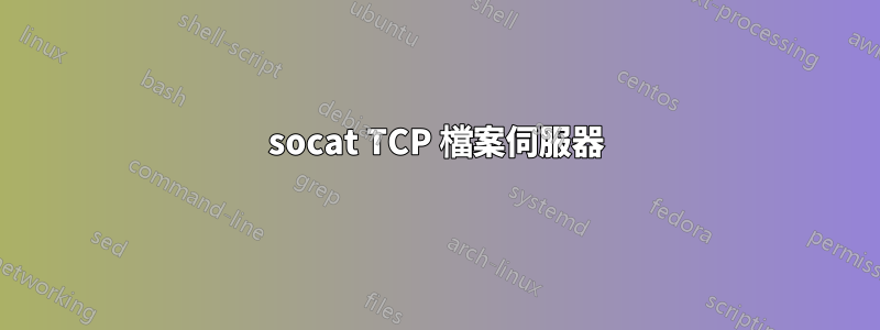 socat TCP 檔案伺服器