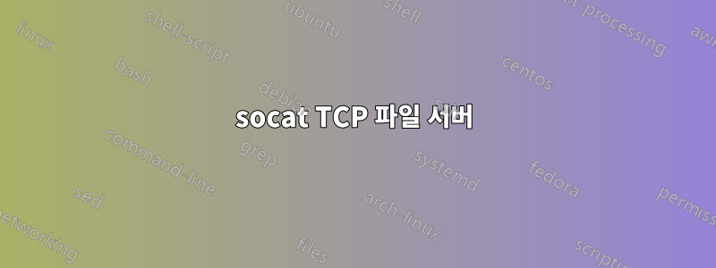 socat TCP 파일 서버