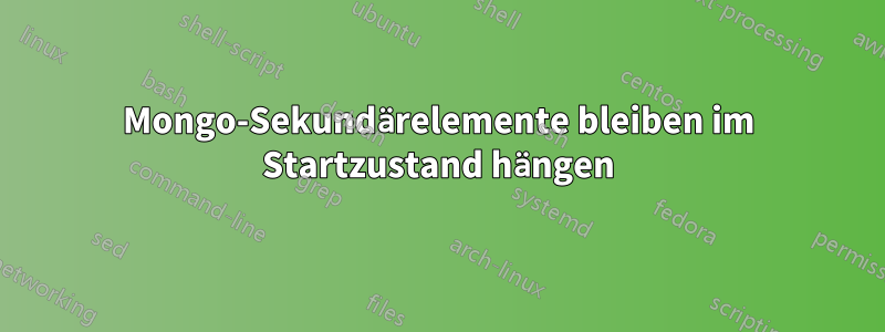 Mongo-Sekundärelemente bleiben im Startzustand hängen